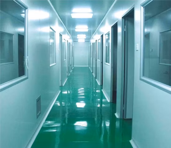 Natürlicher Süßstoff Mönchsfruchtextrakt 20 % 25 % 50 % 70 % Mogrosid V Luo Han Guo-Extrakt Mönchsfruchtpulver Mönchsfruchtkonzentrat Saft Kräuterextrakt Mönchsfrucht